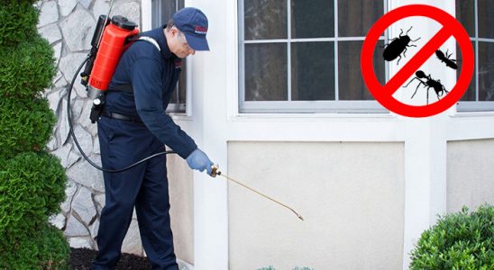 Hanak Böcek İlaçlama böcek ilaçlama ve haşere kontrolü — ilaclama-tr.com